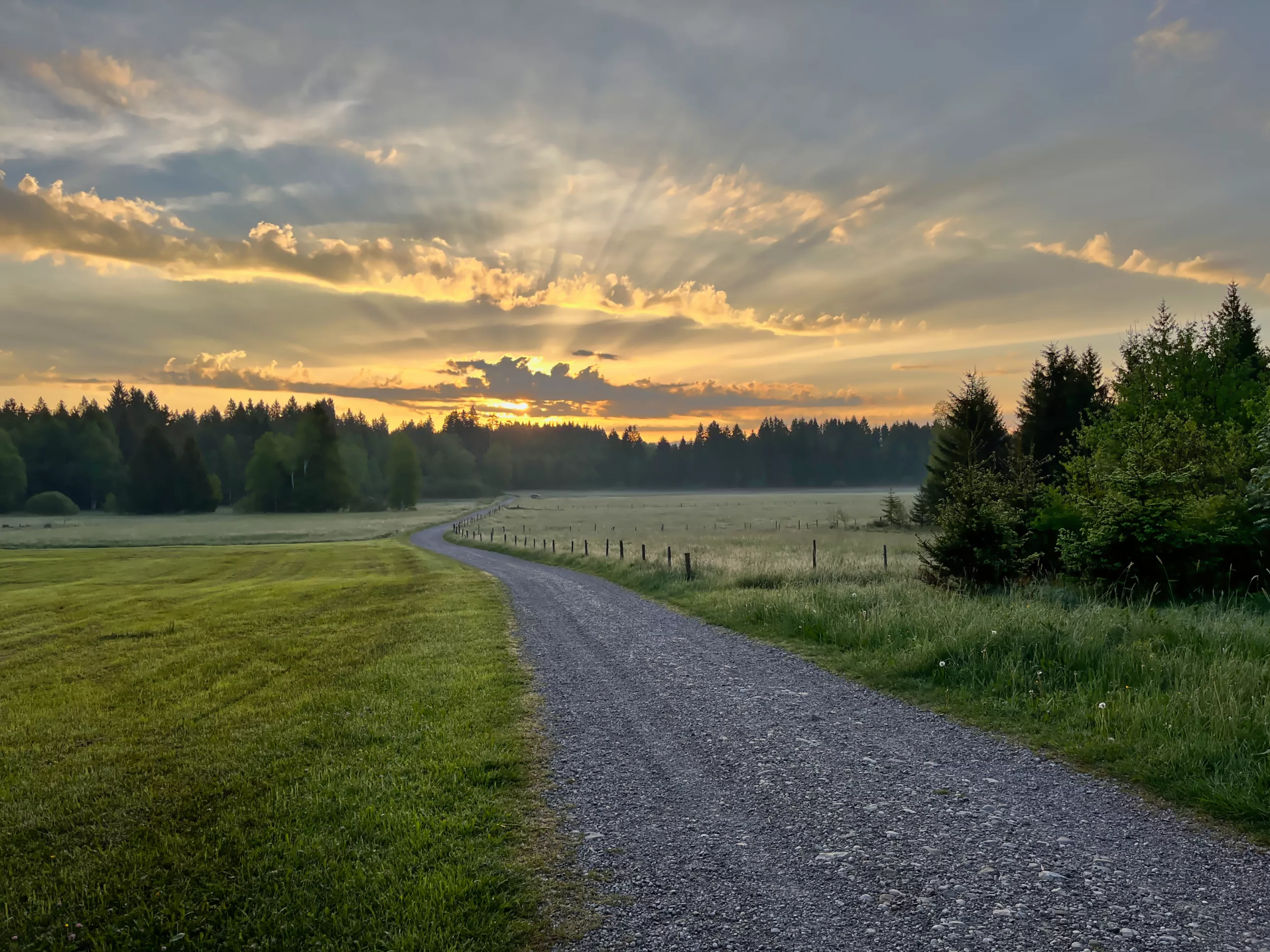 Elbsee Landschaft in Aitrang