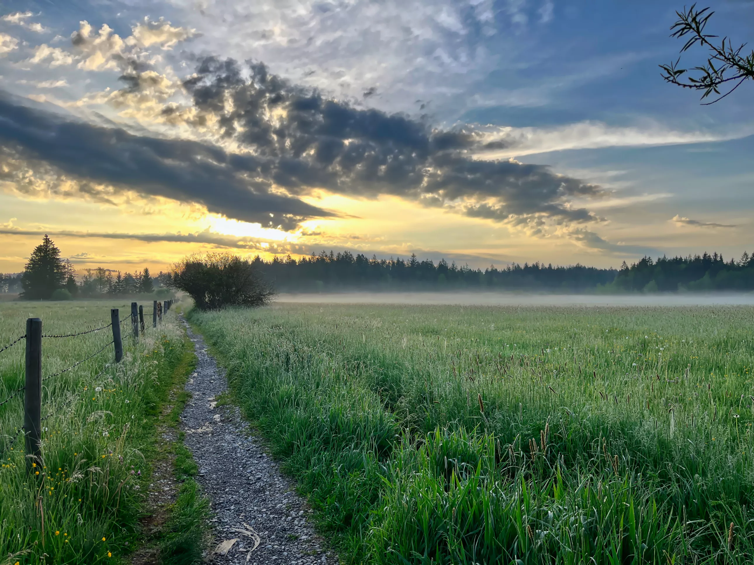 Elbsee Landschaft in Aitrang