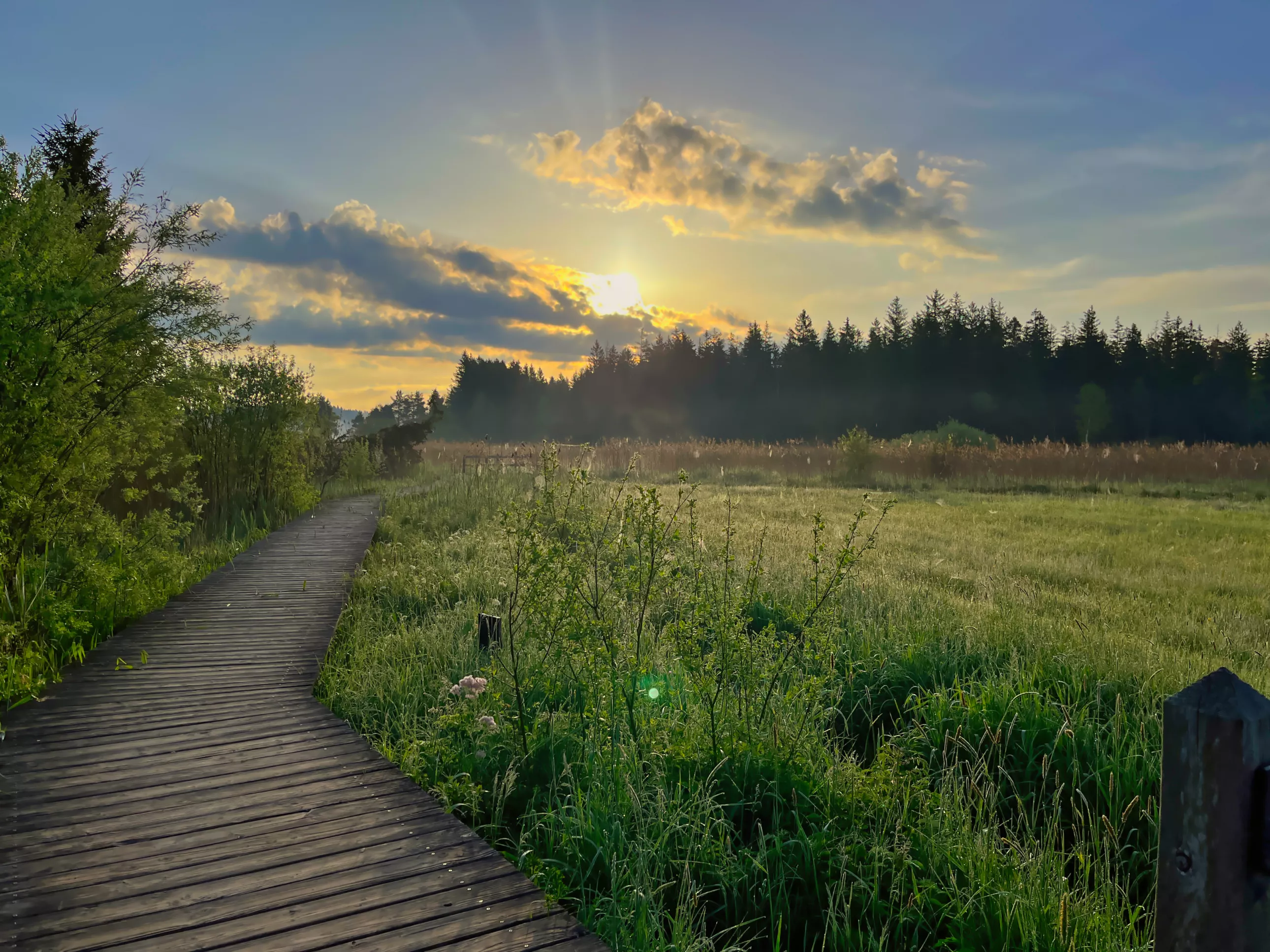 Elbsee Landschaft in Aitrang