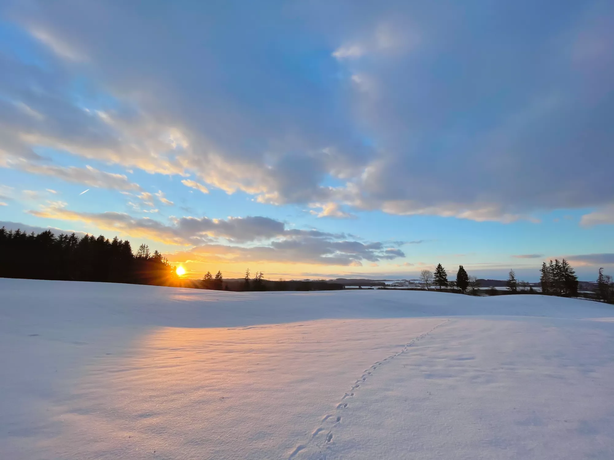 Elbsee Landschaft im Winter