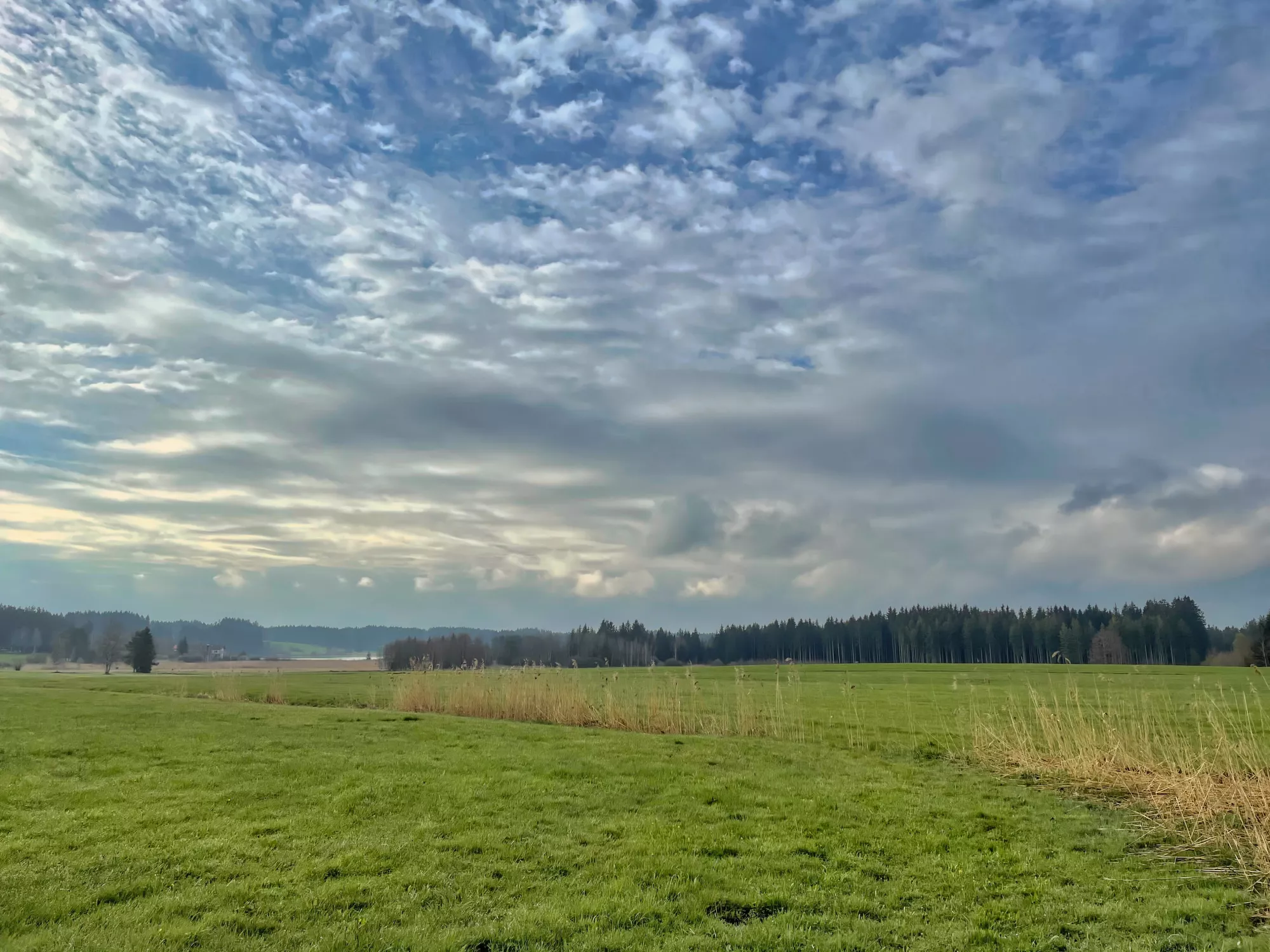Elbsee Landschaft in Aitrang