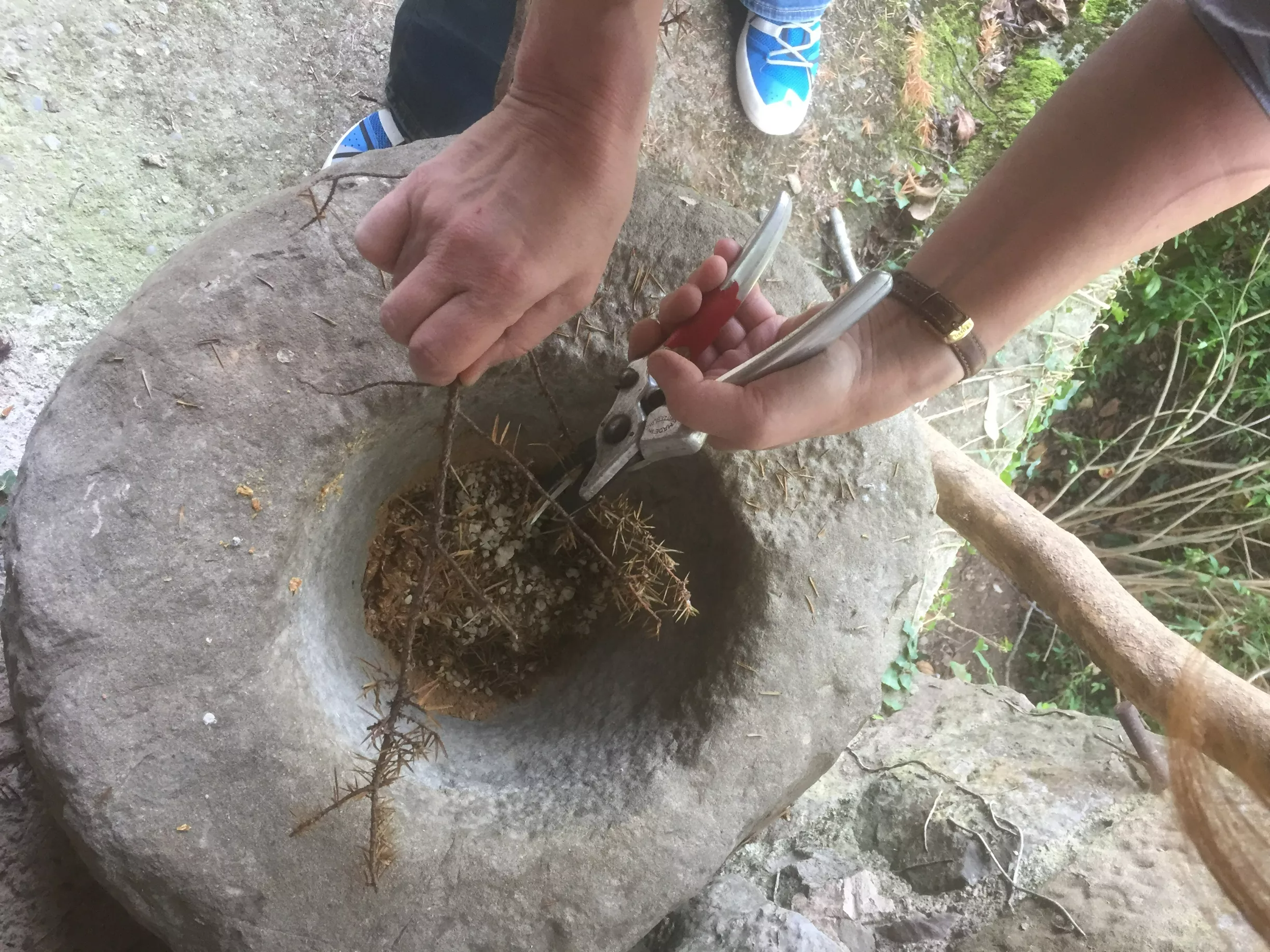 Handarbeit: Pflanzen und Harz werden Stück für Stück geschnitten und im Mörser gemörsert.