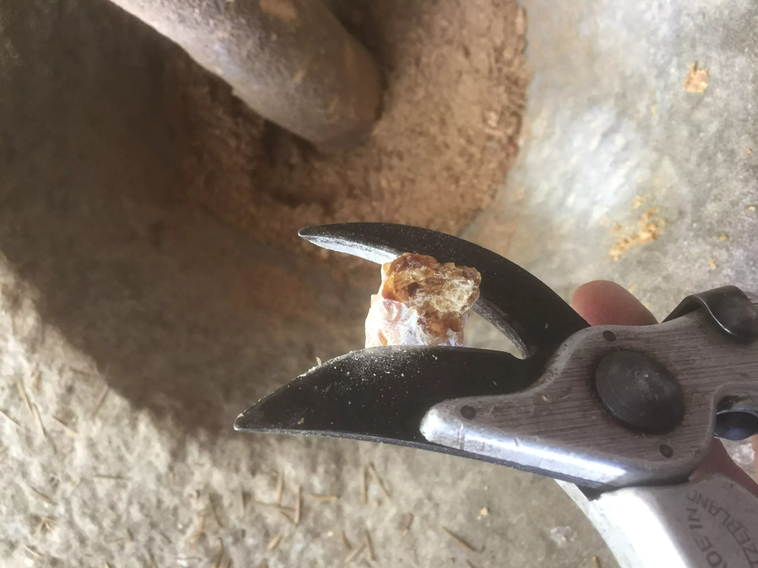 Handarbeit: Pflanzen und Harz werden Stück für Stück geschnitten und im Mörser gemörsert.