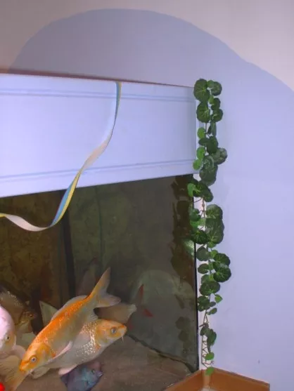 Eine Ranke, die über eine harte Ecke gelegt oder entlang einer Kante geführt wird