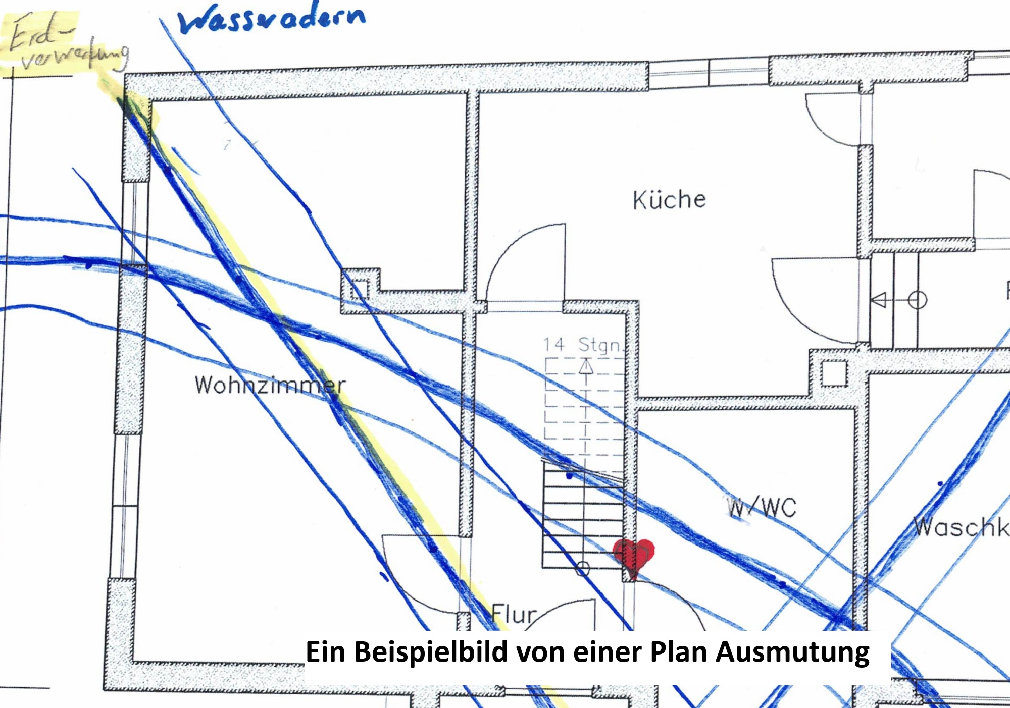 Claudia_Bamberg_1.jpg_mit_Schrift.jpg